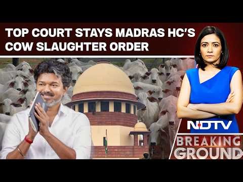 Vijay Government Secures Supreme Court Stay Against Cow Slaughter Ban Order