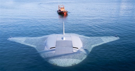 “Llega hasta donde los humanos no pueden”: cómo es la mantarraya robot de Estados Unidos para cumplir misiones submarinas - La Cuarta