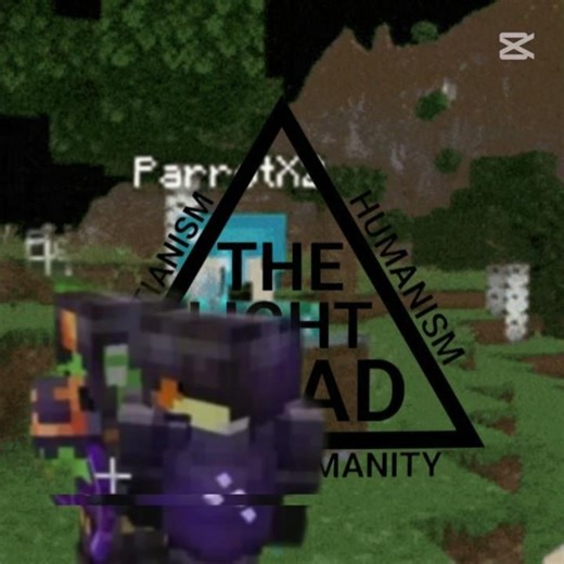 Parrotx2 Darktraid 😲 #minecraft #shorts #feed