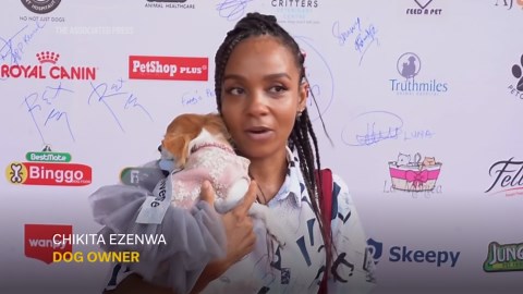 Lagos dog carnival celebrates growing canine culture in Nigeria’s commercial hub