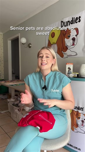 Comfort for Senior Dogs: The Benefits of Dog Diapers