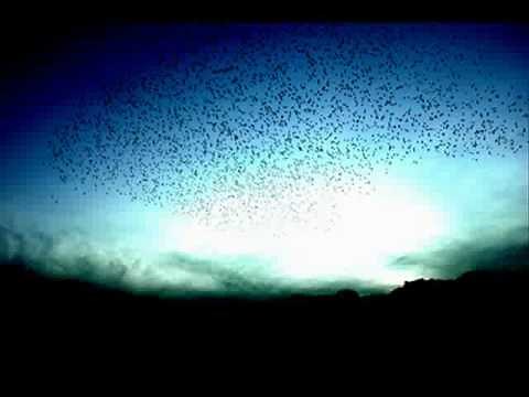 歓喜の歌/遠藤賢司