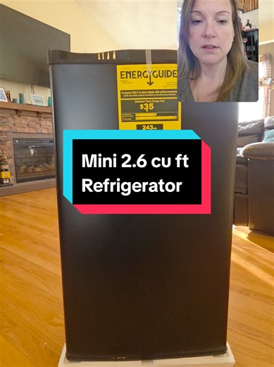 Compact Mini Fridge for Home and Garage Use