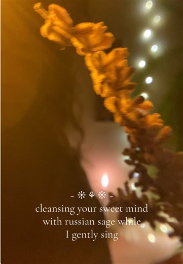 Cleansing Your Mind with Russian Sage and Gentle Singing