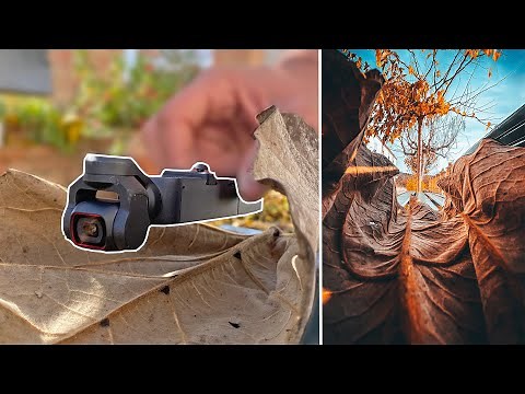 5 AUTUMN CREATIVE VIDEO TRICKS