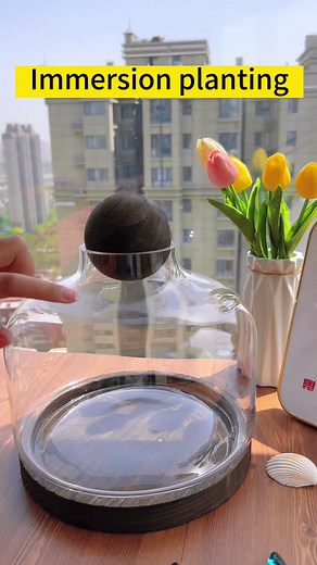 Immersion Planting: Easy Ways to Incorporate Shrimp or Snails in Your Fish Tank