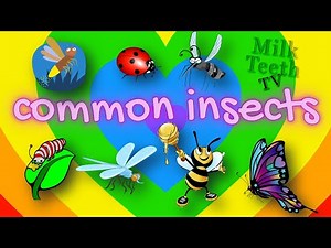 All About Common Insects explained in detail