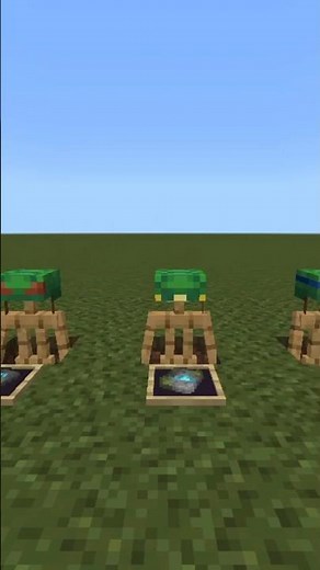 Ever Armor Trims On a Turtle Helmet 🐢 #shorts