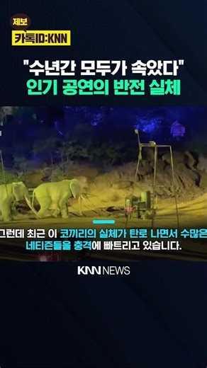 "The Truth Behind China's Popular Elephant Shows" People Inside Elephants?... / KNN