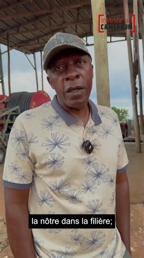 3.5K views · 90 reactions | Élevage des porcs au cameroun | Élevages Leaders | Facebook