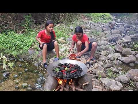 Life in jungle, Snails boiled with Chili sauce, Eating delicious in jungle