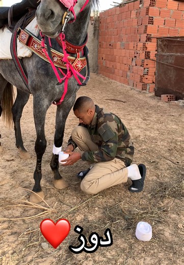 #قابس #قبلي #دوز #الجنوب_التونسي #مشالله_تبارك_الله #خيل_وخياله🐎 #فرسان #حصان_عربي_أصيل