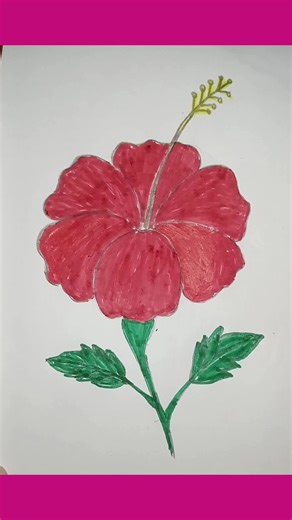 কিভাবে একটা সুন্দর জবা ফুল আকতে হয় ।How to draw a beautiful hibiscus flower hibiscus flower drawing, hibiscus flower drawing easy, hibiscus flower drawing watercolor, hibiscus flower drawing easy step by step, hibiscus flower drawing colour, hibiscus flower drawing tutorial, hibiscus flower drawing with pencil colour, hibiscus flower drawing easy with colour, hibiscus flower drawing shading, hibiscus flower drawing and colouring, hibiscus flower all parts drawing, hibiscus flower drawing and co
