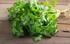 Can You Really Freeze Cilantro?