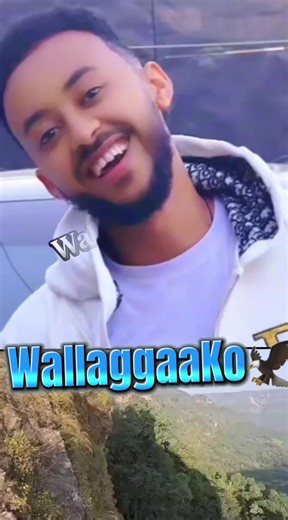 Wallaggaa Ko: Symbol of Strength and Heritage