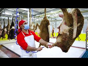 Incredible Million Goat Slaughter Line - Goat Farming Technology & Cheese Production From Goat Milk