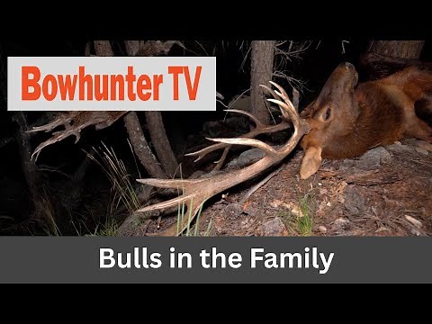 Elk Hunting in Arizona with Curt Wells and Sons