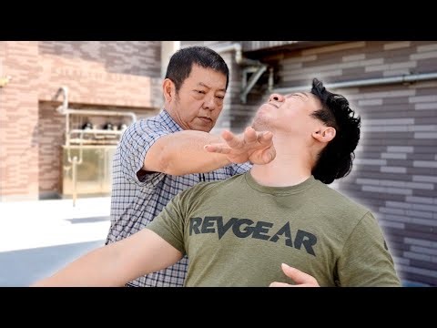 This White Crane Master Ends a Fight in SECONDS