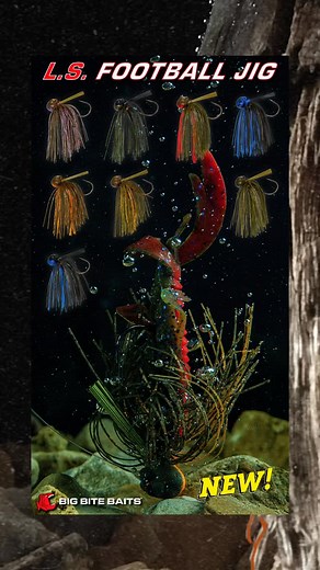 The L.S. Football Jig is built to battle — bringing back the original Stanley Lures design with updated Big Bite Baits colors that flat-out catch fish! 👊🎣 #BigBiteBaits - 1099 - Black Blue - Green Pumpkin - Green Pumpkin Orange - Hematoma - Ozark Craw - Vegas Flash Features a recessed line tie keeps it clean through rock, brush, and structure so you can stay locked in on the strike zone! ‼️‼️‼️ AVAILABLE NOW ‼️‼️‼️ - Premium Mustad black nickel hook - Hand-tied silicone skirt - 8 proven Big Bi