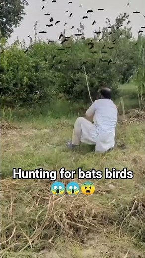 Hunting for bats birds😱😱#hunting#bats#farmer #farming#villagelife #youtubeshorts