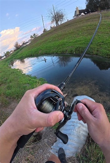 Fishing In A DITCH... This Wasn't Supposed To HAPPEN😳#bass #fish #fishing #bassfishing #texas