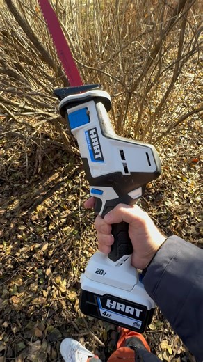 Have you ever used a pruning blade? They actually work great on these little handheld saws #diy #yardwork @harttoolsusa #doitwithhart | Tools in Action