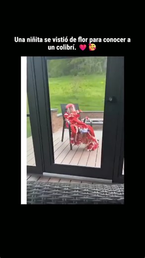 @ciencia.decoded on Instagram: "En el video cálido aparece Anna, una joven amante de la naturaleza; su mamá Holly Herlitzke captó su encuentro mágico con colibríes de cerca. Para eso Anna usó el «HummViewer» —un comedero portable tipo visera en la cara con tubos de néctar. El dispositivo deja que las aves minúsculas se queden suspendidas a centímetros del rostro y da una vista «cara a cara» única de sus movimientos rápidos y el plumaje iridiscente. Envuelta en una manta y sentada quieta en la te