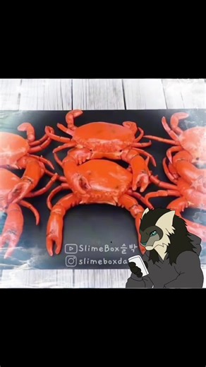 Understanding Autism Awareness and Communication Tools