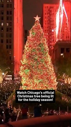 Did you catch Chicago's Christmas tree lighting ceremony at Millennium Park tonight? Relive the stunning moment here! 🎄 #christmastree #chicago #millenniumpark | NBC Chicago