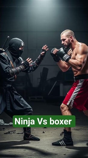 ninja Vs boxer