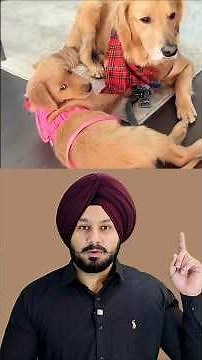 The Dog Story of a Lonely Mother Who Finds Happiness