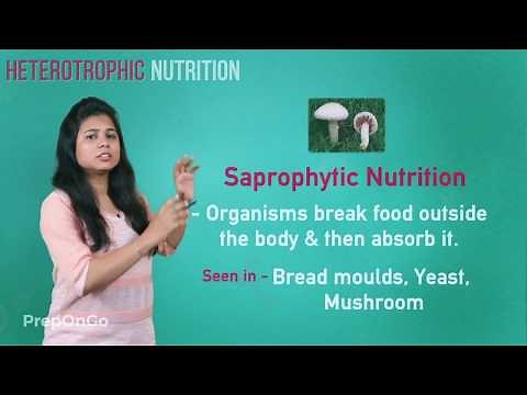 Life Process - 4 | Heterotrophic mode of nutrition | CBSE Class 10