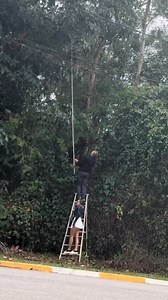 133K views · 5.9K reactions | Perfect compilation   藍藍 | Woodrow 1 | Facebook