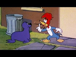 Woody Woodpecker | Classic Mega Compilation Vol 15 | Retro Funny Cartoons
