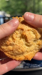 Celebrate National Southern Food Day in-store with us tomorrow, 1/22, to score FREE BISCUITS & BOGO ENTREES!🤤 Make a reservation at the link below to join in the delicious deals. https://tupelohoneycafe.com/reservations One free order of biscuits per two people on 1/22 only. BOGO Entrees are available in-store or online, 1/22-1/25. Redeem by presenting the promotion post/email to your server or using code: SOUTHERN through our website. Valid on any items in the Salads, Sandwiches, Lunch Combos,