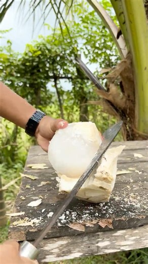 This is how to make a snowball from coconut | experiment #coconut #cuttingskills #experiment