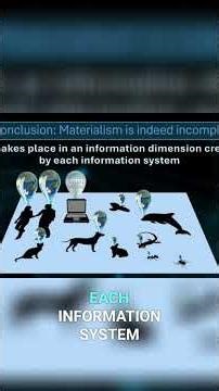 Information Systems, Quirks, and Emergent Features Explained