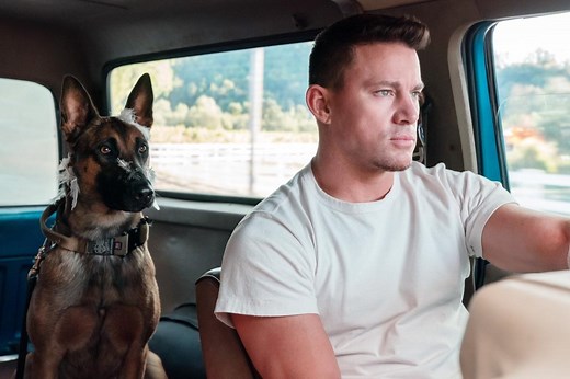 Is 'Dog' on HBO Max or Netflix? Where to Watch the Channing Tatum Movie