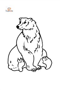 Bear coloring page ♥ Color Online for Free!
