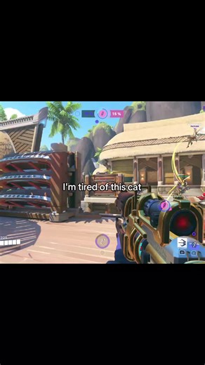 Tired of This Stupid Cat in Overwatch 2