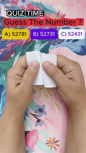 Guess the number challenge | Satisfying Guessing games