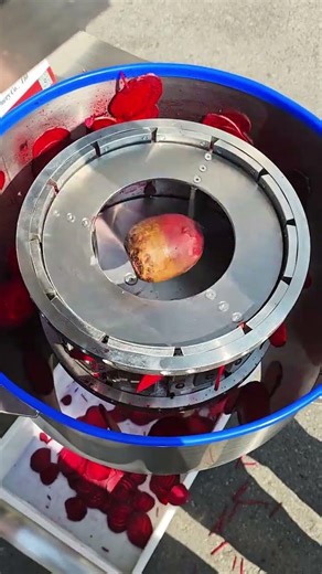Incredible Speed: Beet Slicer Centrifugal Machine Shreds Like a Pro
