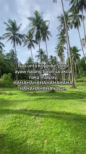 Funny Jokes to Start Your Day