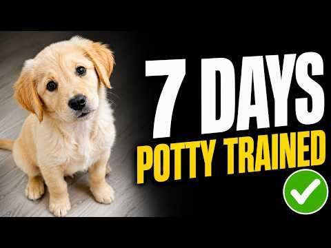 How to Potty Train Any Puppy in 7 Days (Step-by-Step Guide)
