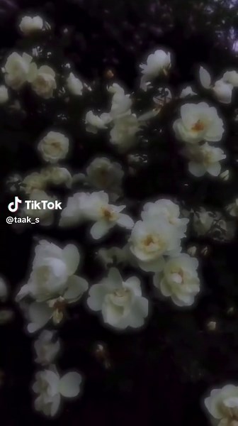 花の名前と恋の思い出