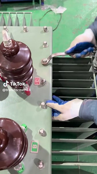 The oil immersion process of an oil-immersed transformer.#transformer #factory #manufacturer #fyp #immersive