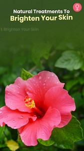 16 Effective Ways To Use Hibiscus For Your Hair Simple and easy ways to incorporate hibiscus into your hair care routine. | StyleCraze Creative Tips