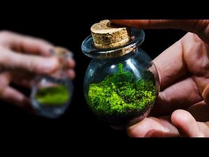 Creating Mini Moss Worlds for a Driftwood Bonsai Tree