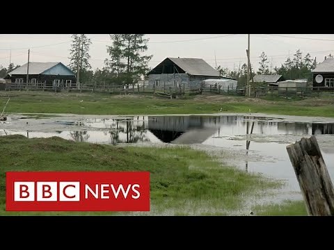 Scientists say vast areas of Siberia are thawing with "devastating consequences" - BBC News