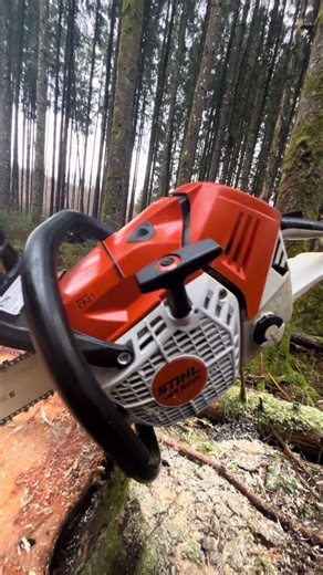 Discovering the Stihl 500i: A Game-Changer for Tree Felling